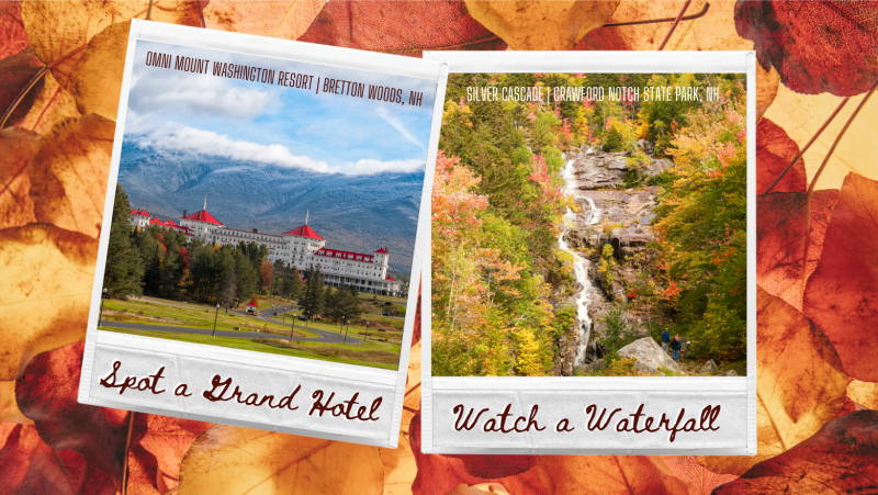 Fall Foliage Two Day -  Crawford Notch State Park
