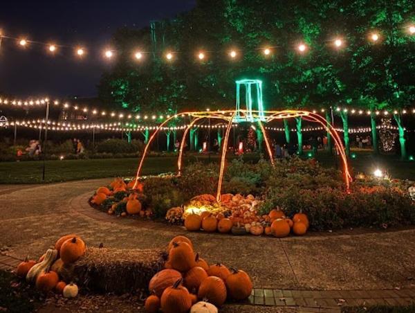 Light strands form shape of pumpkin at Franklin Park Conservatory