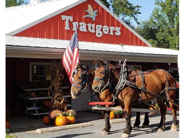 Traugers Farm Market