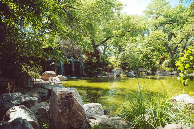 A landscape view of the Japanese Gardens at the ABQ BioPark Botanic Garden