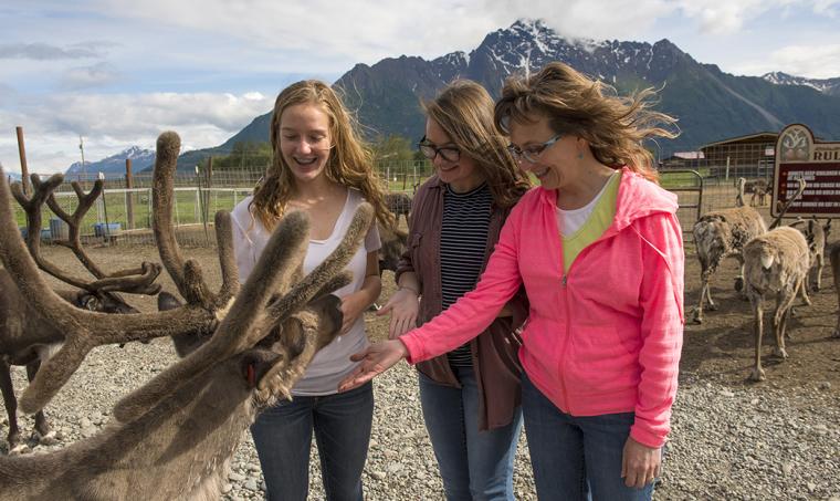 Reindeer Farm Fun
