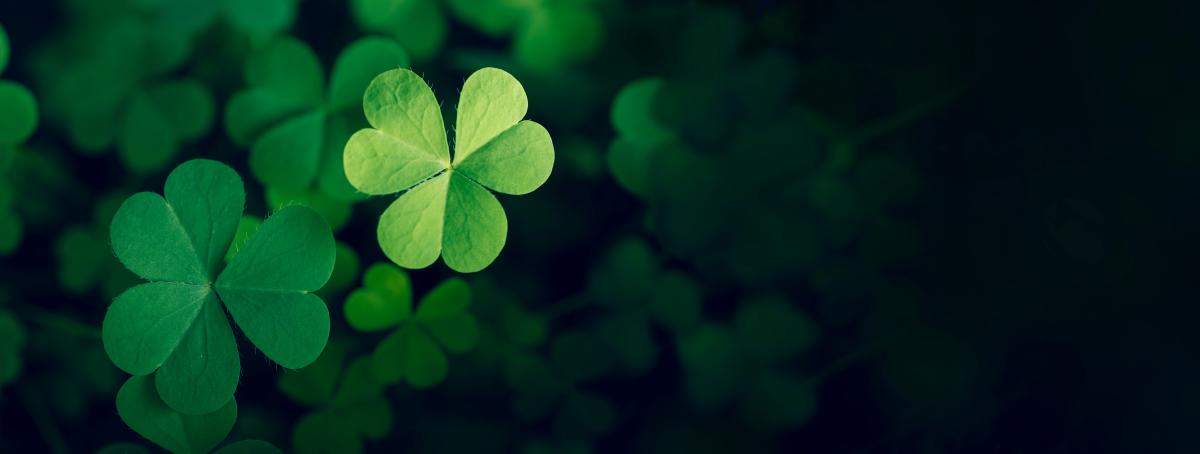 Shamrocks