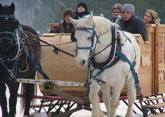 6 Spots For Winter Sleigh Rides Travel Wisconsin 6 Spots For Winter Sleigh Rides Travel Wisconsin