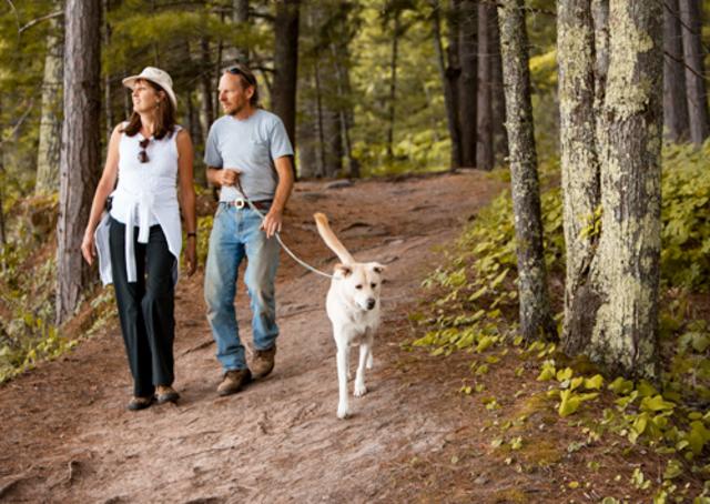 hiking dog leash