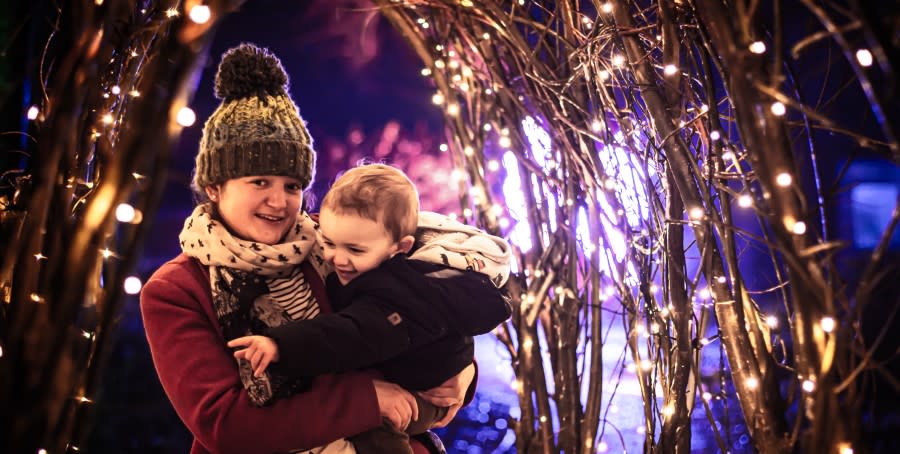 Christmas at Adam Henson's Cotswold Farm Park