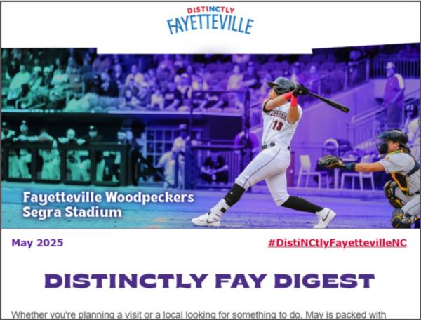 Screenshot of monthly newsletter