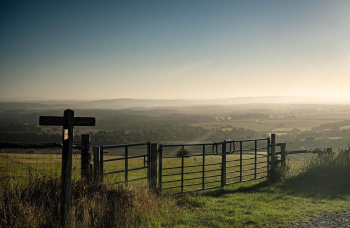 South Downs Views