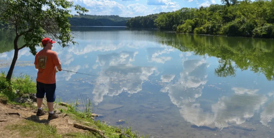 Cross Creek Lake