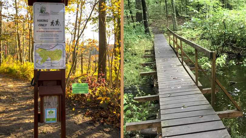 Atlantic White Cedar Swamp, Gold Star, James Bland and Burlingame Preserves