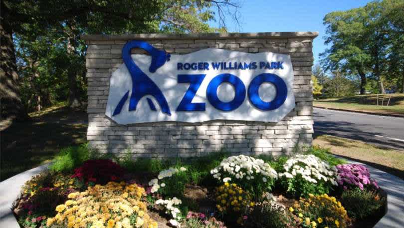 zoo