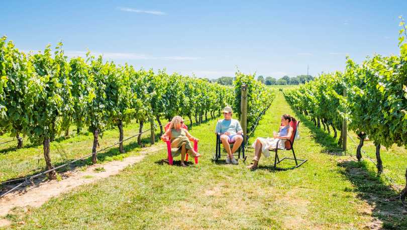 Guests relaxing in the vines.
