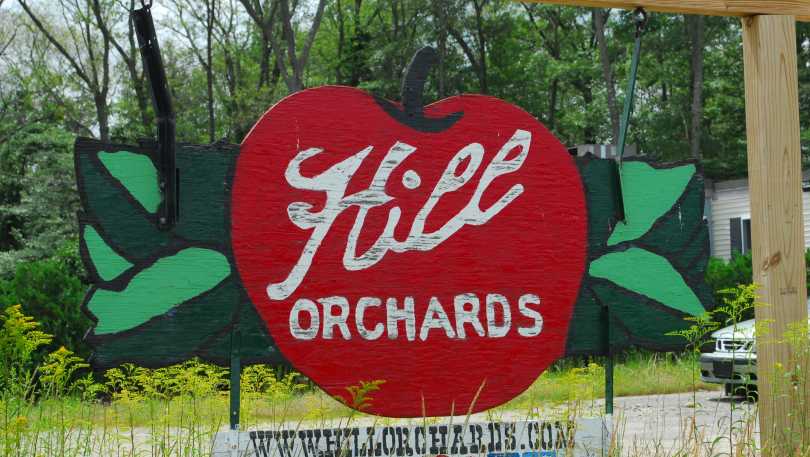 Hill Orchards