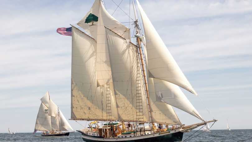 Sailing Yacht Tree of Life