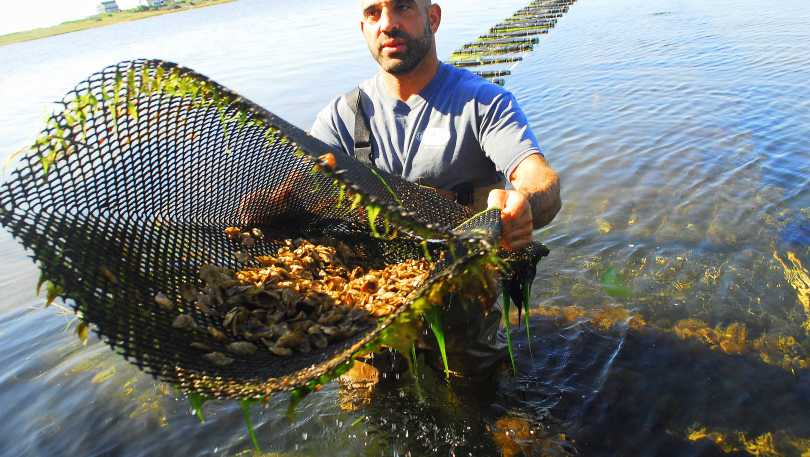 Matunuck Oyster Farm