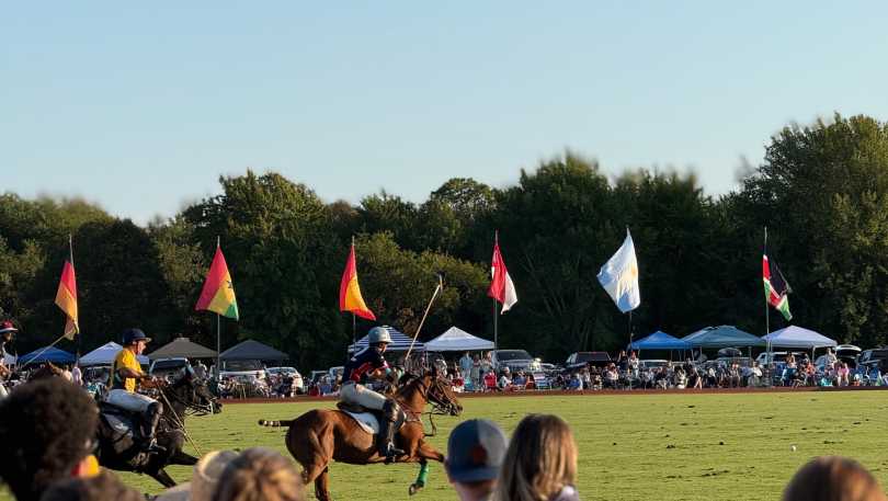 Newport Polo Experience