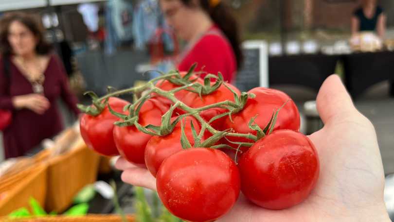Pawtucket Farmers Market02