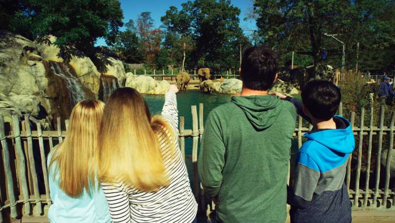 Zoo Animus