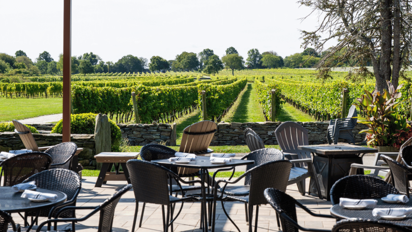Terrace Vineyard Views - Farm & Barrel Bistro
