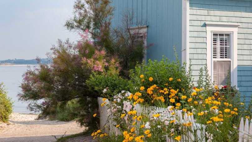 blue dory cottage