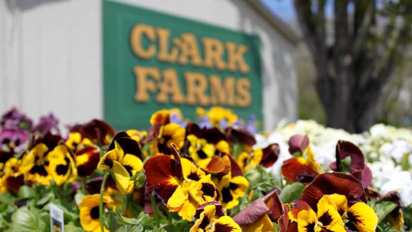 Clark Farms