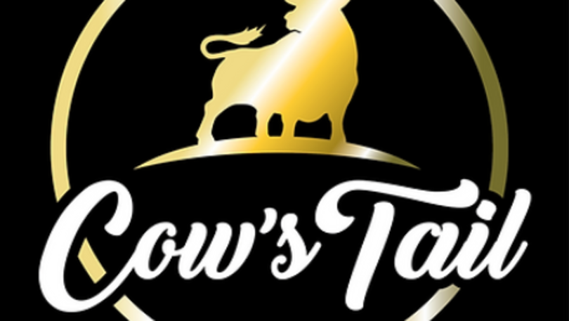 cow1