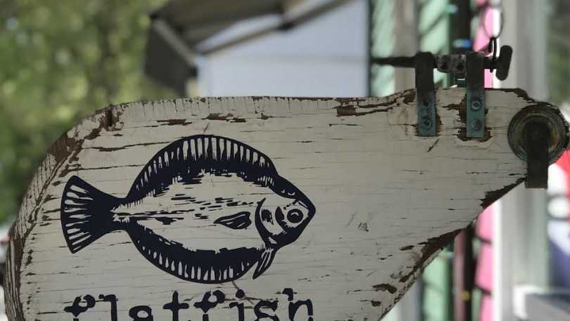 flatfish