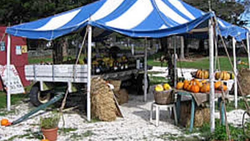 Jamestown Market