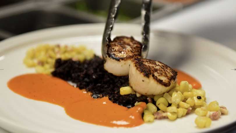 Scallops
