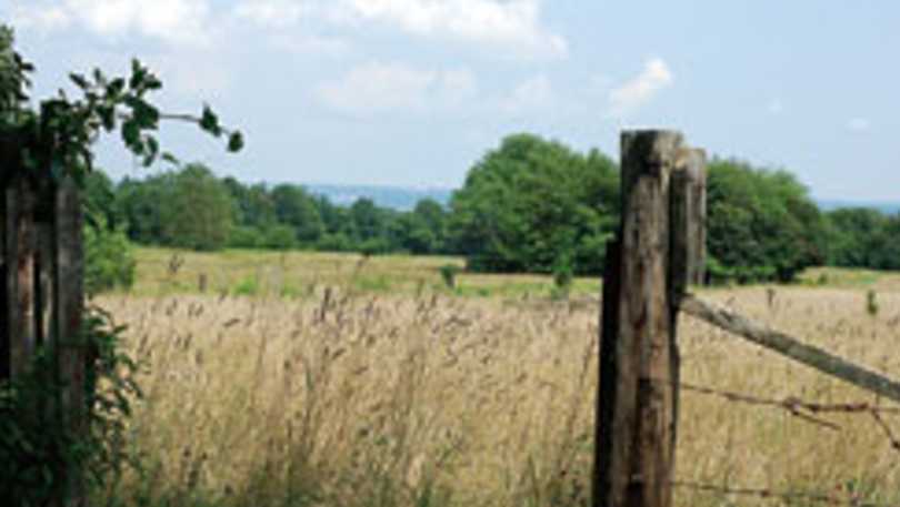 Parker Farm