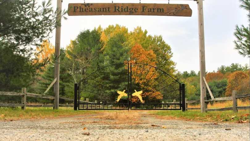 pheasant ridge