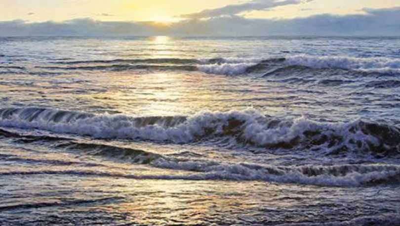 Sheldon Fine Art