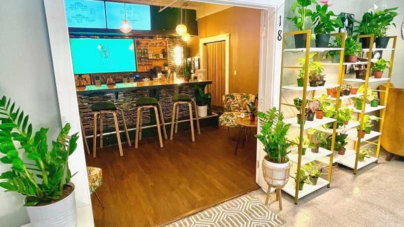 seed cafe