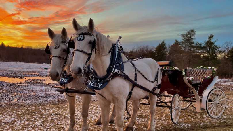 winter carriage