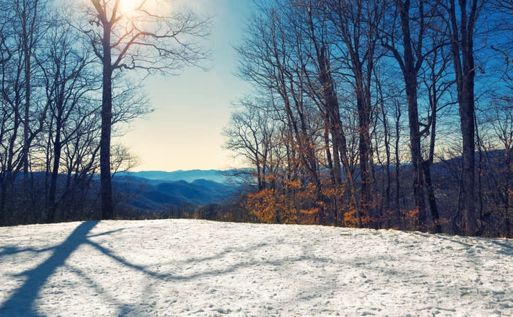 Newfound Gap Road