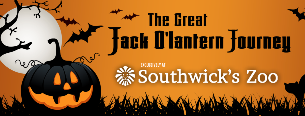 The Great Jack O'Lantern Journey at Southwick's
