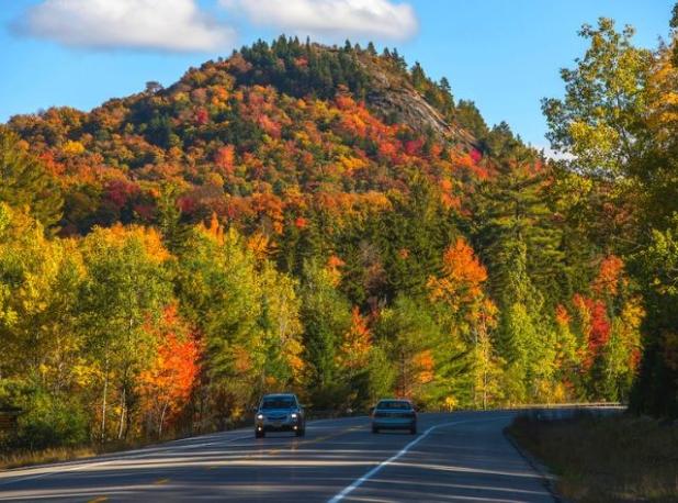 gray line fall foliage tour