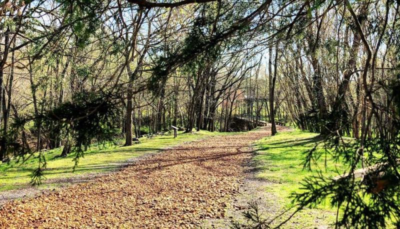 walking trail at Port Royal State Park