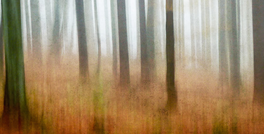 Enchanted woodlands wokshop