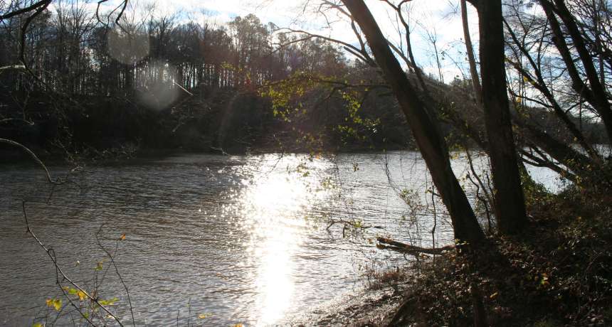 View of Fayetteville Area River