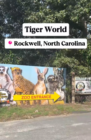 Tiger World Thumbnail