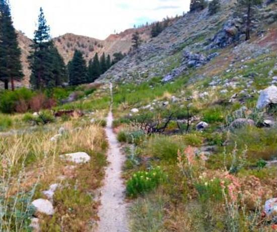 Rock creek bike trail online