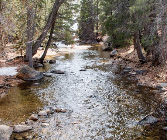 Robinson Creek Trailhead