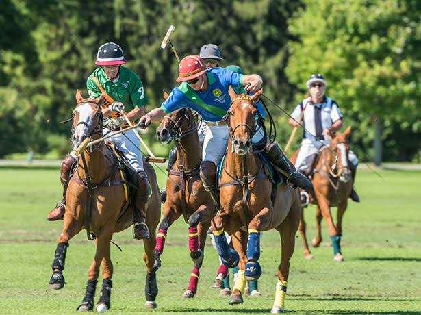 blog-oak-brook-polo.jpg