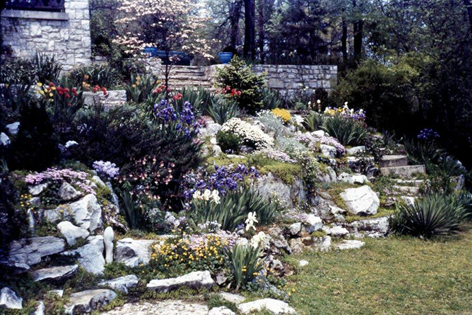 Ruth Rabold's Garden Archive