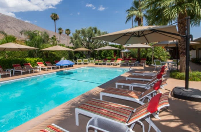 Outdoor swimming pool with lounge chairs and umbrellas, surrounded by palm trees and a mountain in the background on a sunny day.