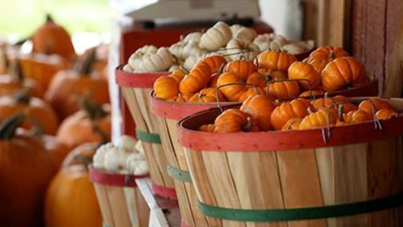 
				Fall Farmers Market		