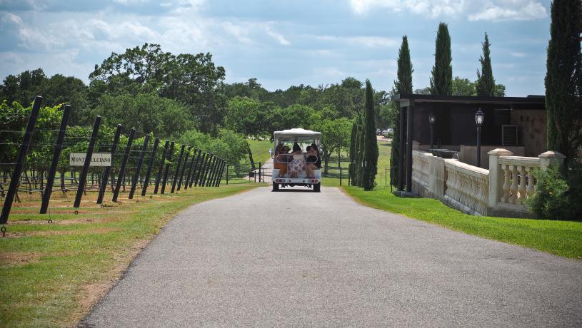 A Golf Cart Riding Through Grape Creek Vineyards In Fredericksburg, TX