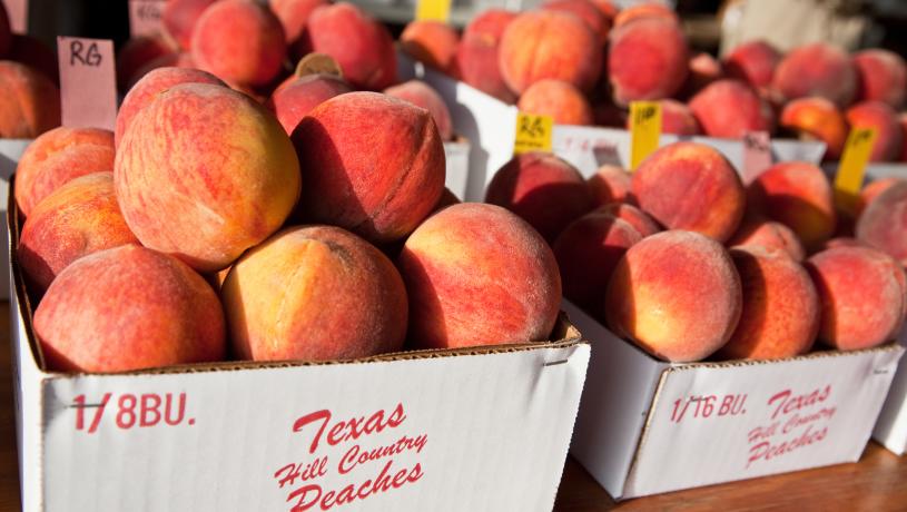 Texas Hill Country Peaches