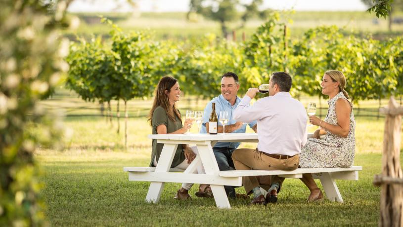 People sitting at a picnic bench drinking wine in Signor Vineyards