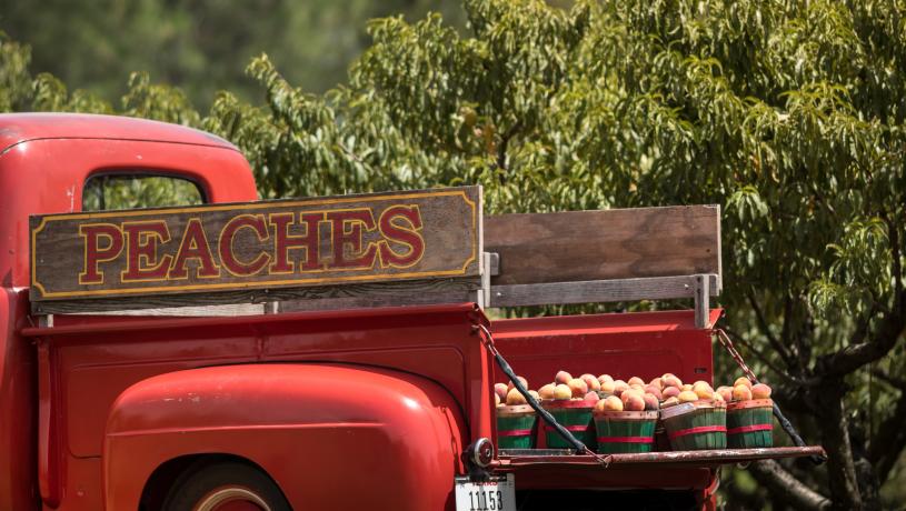 Red truck with wooden "Peaches" sign and baskets of fresh peaches